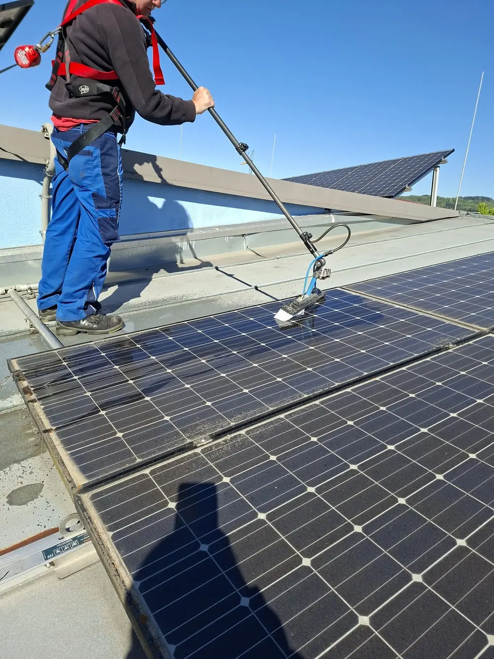 Professionelle Reinigung der PV-Paneele mit einer Teleskopbürste.